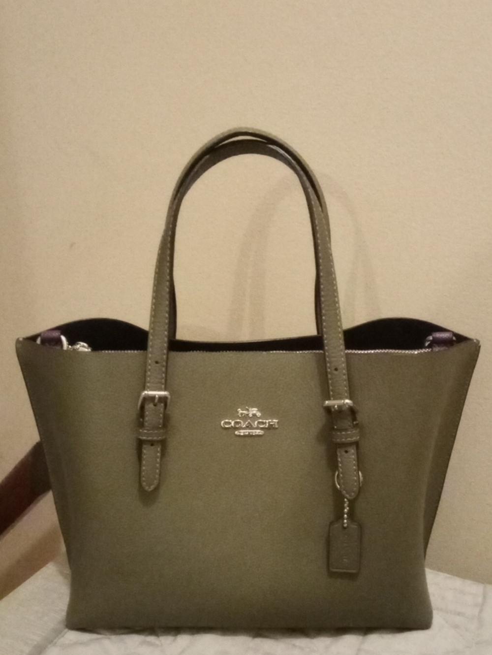 Coach Olive Leather Tote Bag with Logo